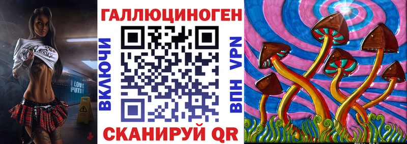 Галлюциногенные грибы Psilocybe  Весьегонск 